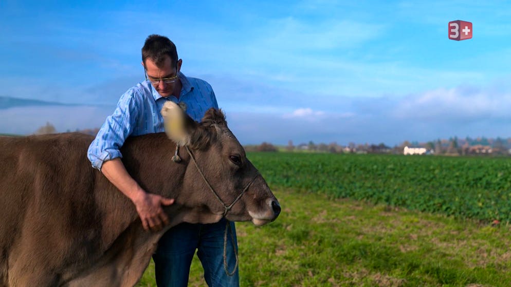 David möchte mit seiner künftigen Partnerin eine Familie gründen.