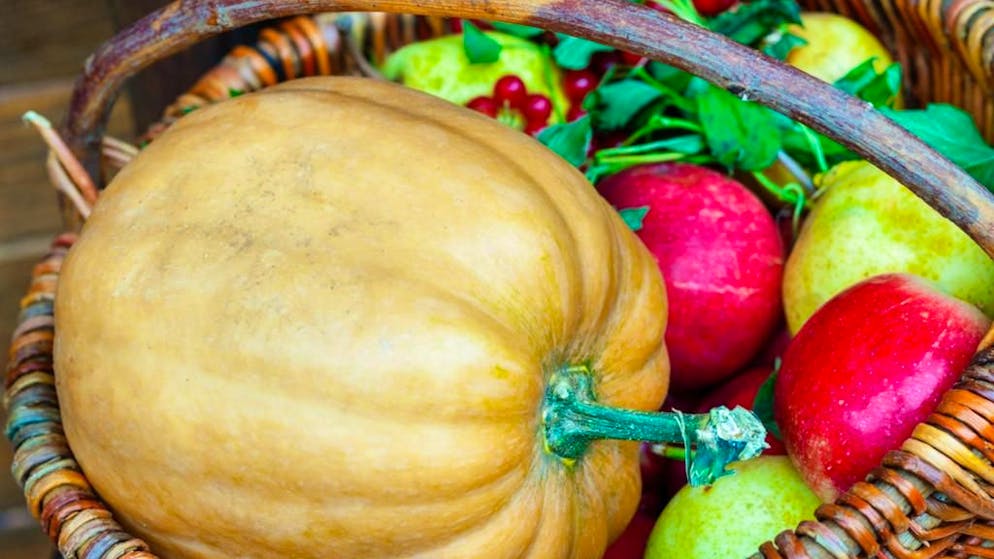 Lifestyle. Il clima cambia il nostro cibo: meno nutrienti nel futuro dell'orto