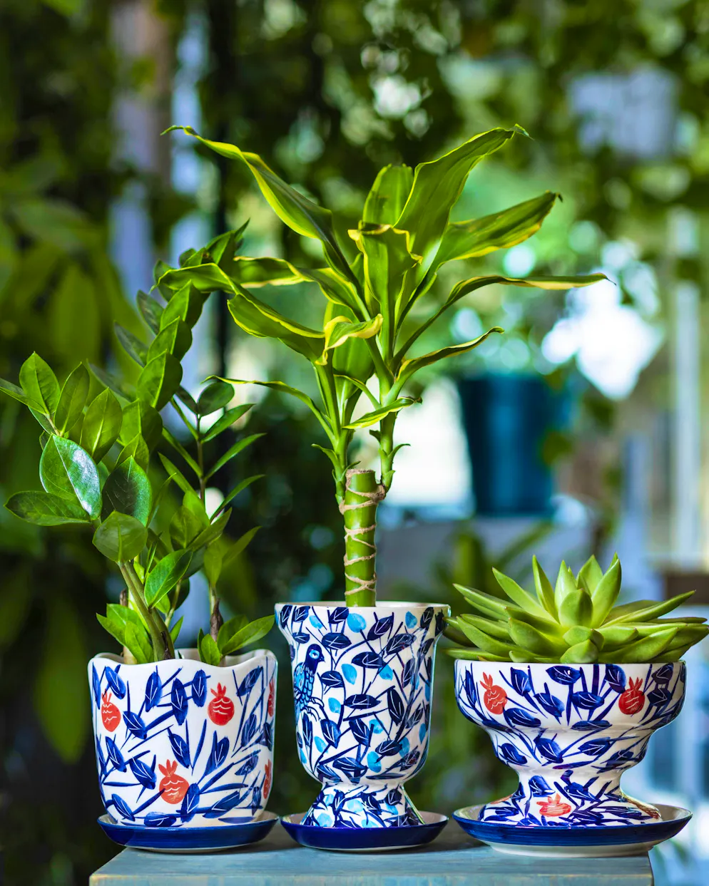 Closely grouped plants create a more humid microclimate - this helps to reduce evaporation and retain moisture for longer.