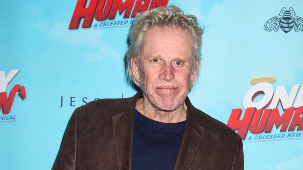 Giustizia. Gary Busey si dichiara colpevole di contatto sessuale: «Non è stato un tocco accidentale»