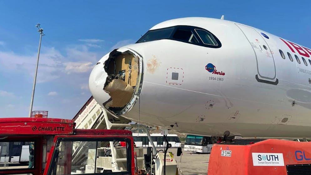 Collision during climb. Brand new Airbus crashes into vulture - plane forced to make an emergency landing