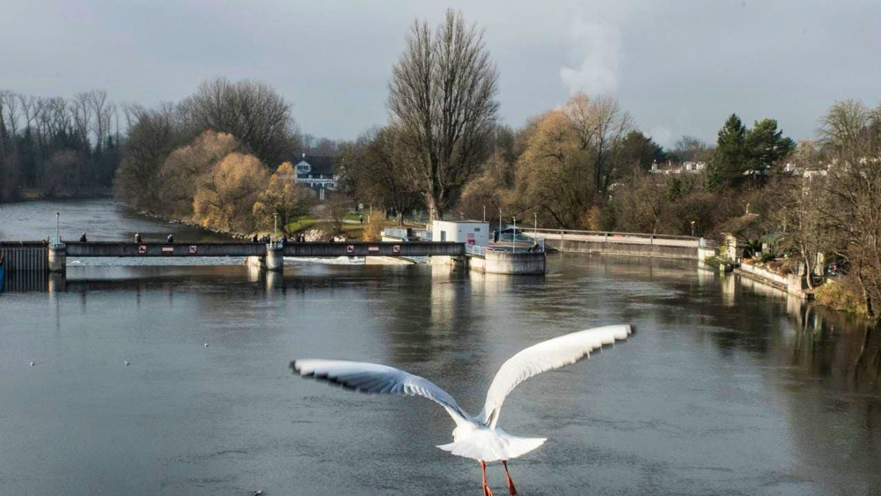 Todesfall. 65-jähriger Portugiese ertrinkt in Zürich in der Limmat
