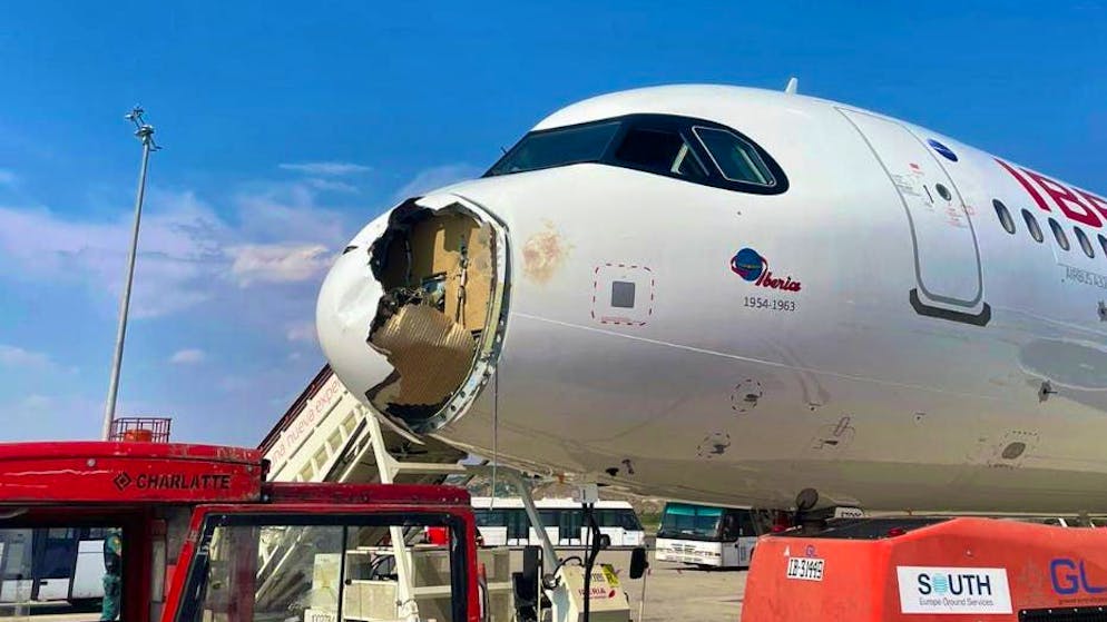 L'incredibile  video. Avvoltoio si scontra con un Airbus e gli sfonda il «muso» e uno dei motori