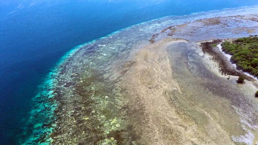 Australia. La Grande barriera corallina soffre il peggior declino annuale