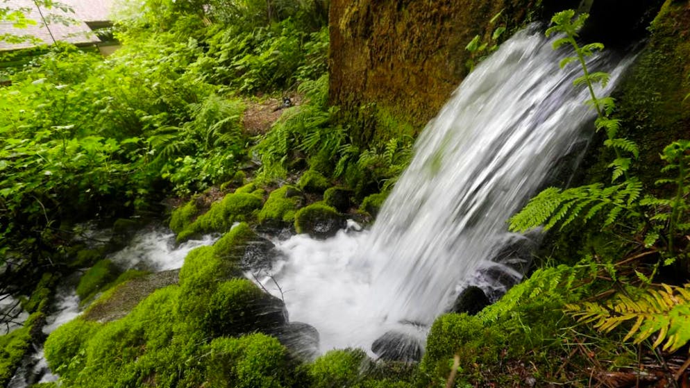 Acqua minerale. Nestlé Waters respinge le insinuazioni sulle microplastiche