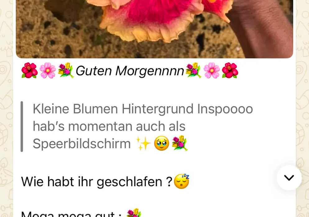 Children and teenagers use the channel function on WhatsApp - and some have thousands of followers.