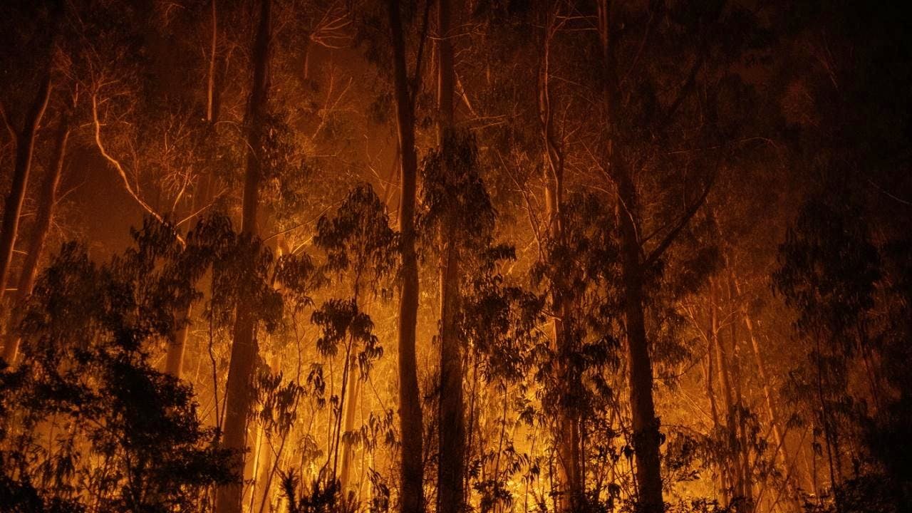 Waldbrände. Mehr als 1000 Menschen im Nordwesten Spaniens evakuiert