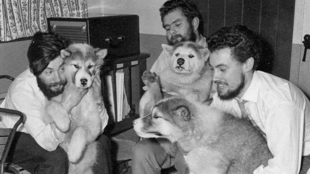Undated photo of Dennis Bell (left) with his colleagues and their dogs.