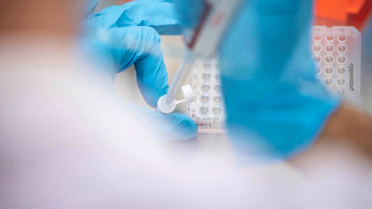 Genschere. Zürcher Forschungsteam kombiniert Gentechnik mit KI