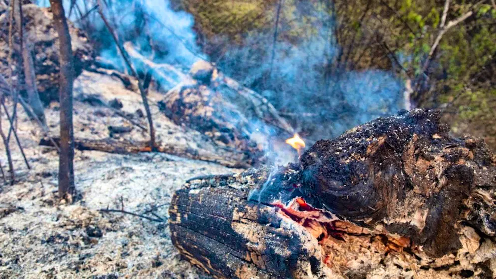 Smoke coming from a forest. Photo: Rafael Bastante/EUROPA PRESS/dpa
