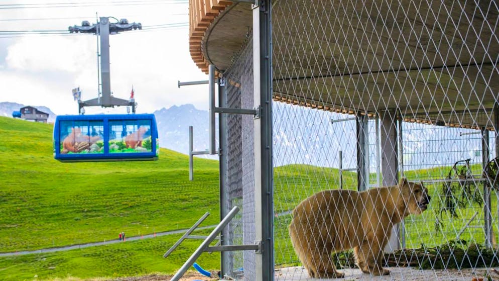 Grigioni. Credito da 35 milioni per promuovere i progetti turistici retici