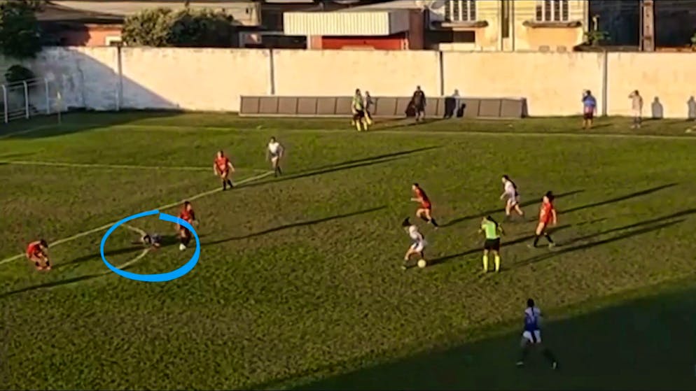 Kurioser Zwischenfall beim Frauenfussball. Bienenschwarm stoppt Spiel – Spielerinnen legen sich flach auf den Rasen