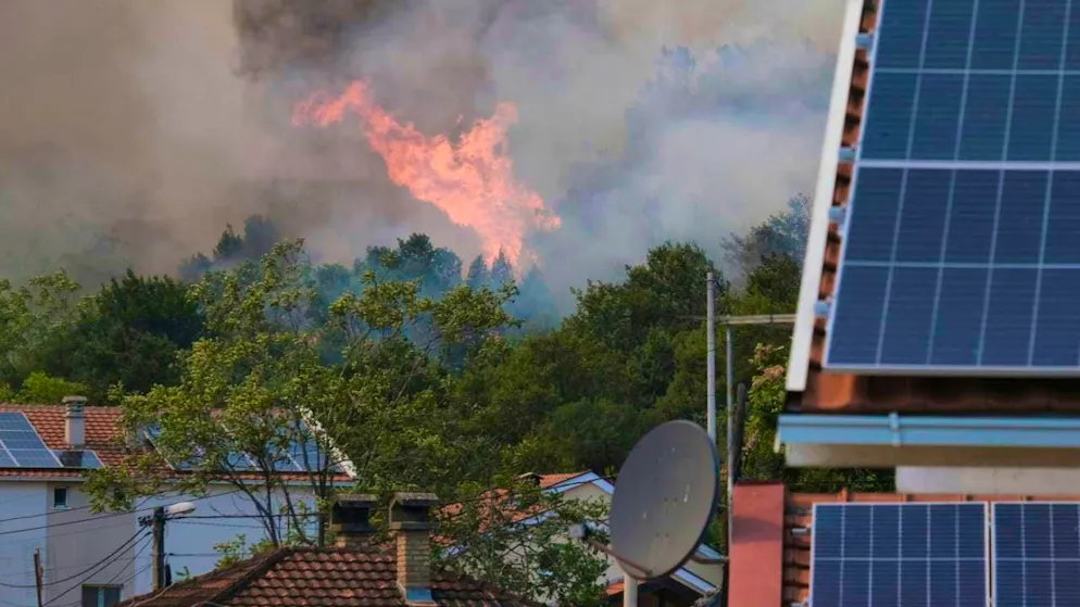 Smoke and flames rise from trees. Photo: Risto Bozovic/AP/dpa