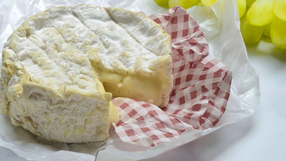 Französische Behörden warnen. Zwei Tote nach Listeriose-Ausbruch – zahlreiche Käse werden zurückgerufen