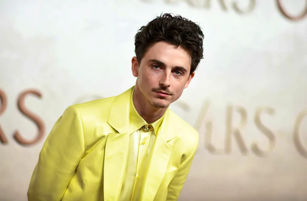 Oscars: This is how often these stars have gone away empty-handed. Timothée Chalamet is busy collecting Oscar nominations: 2018 for the first time as Best Actor in a Leading Role for "Call Me by Your Name", 2025 again for "Like a Complete Unknown". In 2026, he is in the running twice - as Best Actor in a Leading Role and also in the Best Film category with "Marty Supreme".