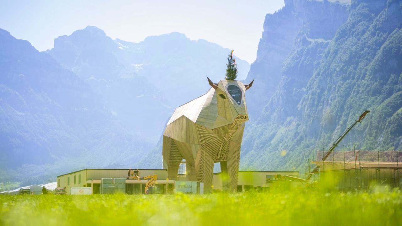 Esaf 2025. Esaf wooden muni Max to stay in Glarus after the wrestling festival