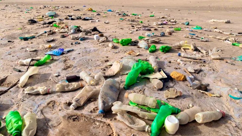 The treaty is to cover the entire plastic cycle, from production to design and waste management. (archive image)