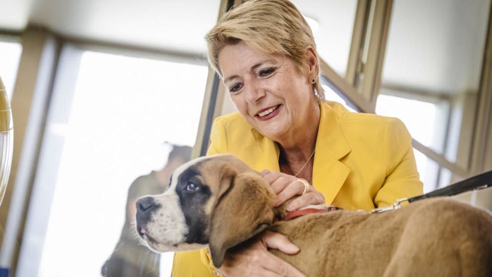 Vallese. Karin Keller-Sutter inaugura il nuovo parco Barryland a Martigny