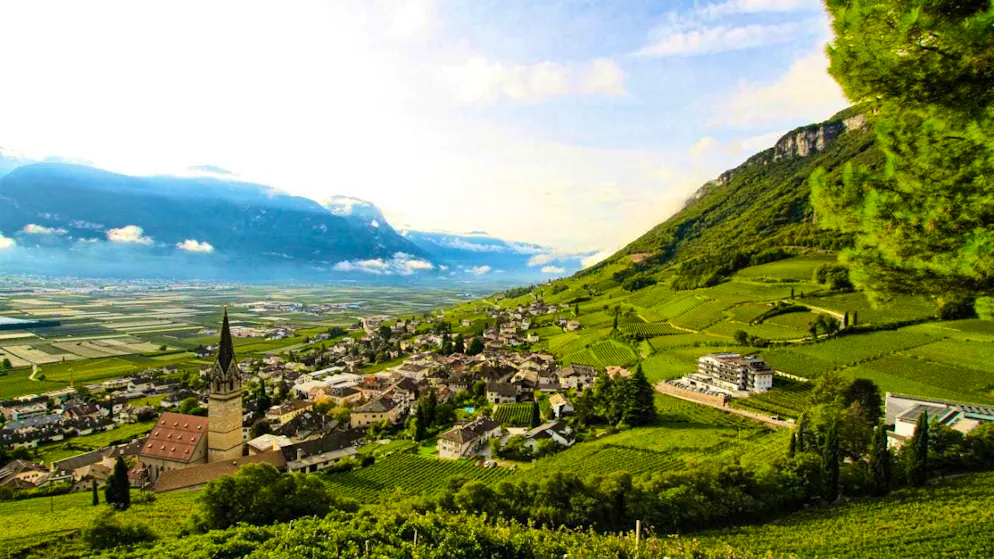 ARCHIVE - A winery with a view of the Adige Valley. Photo: Bernhard Krieger/dpa-tmn/dpa/Archivbild