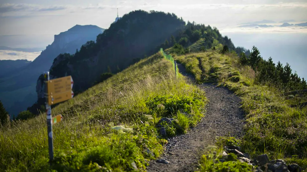 The Appenzell Innerrhoden cantonal police are investigating the causes of the accident in Alpstein. (theme picture)