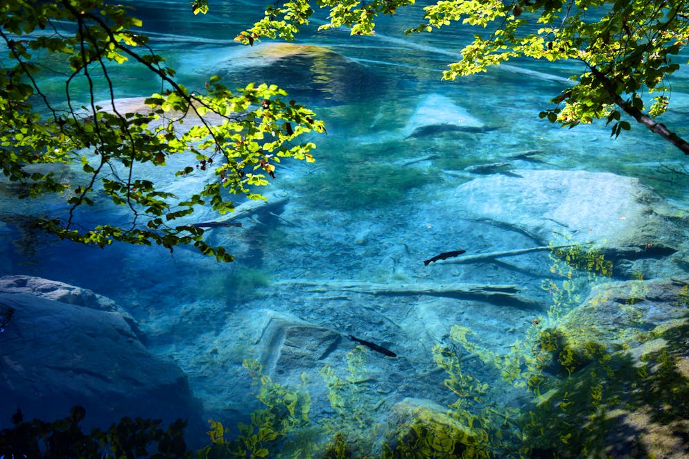 The Blausee is one of the most famous mountain lakes in Switzerland.