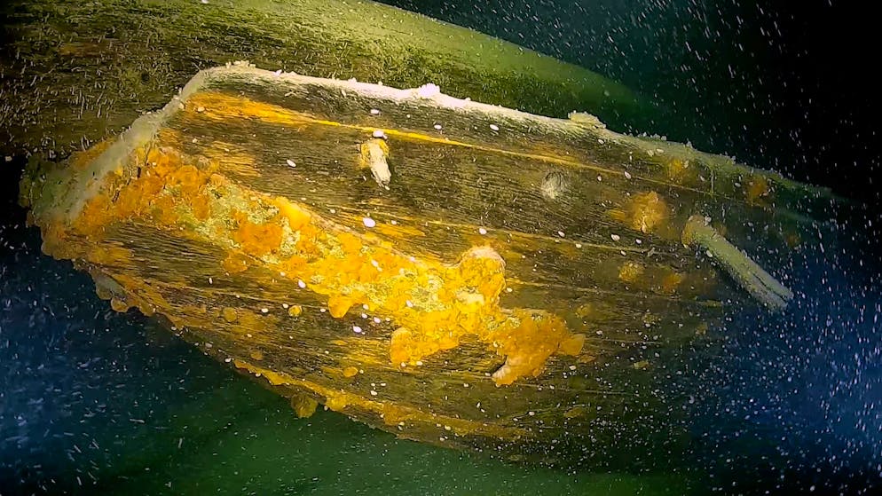 Sensationsfund im Bodensee. Unterwasser-Archäologen entdecken 200 Jahre altes Segelboot