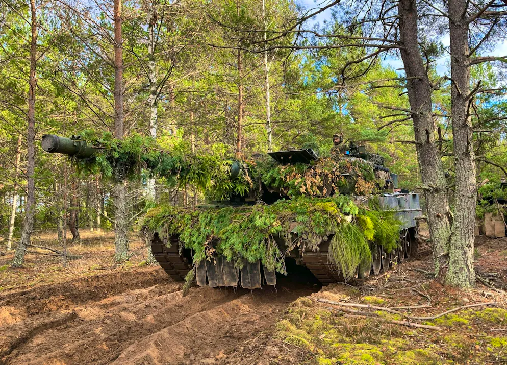 Lithuania is building a large defensive strip.
