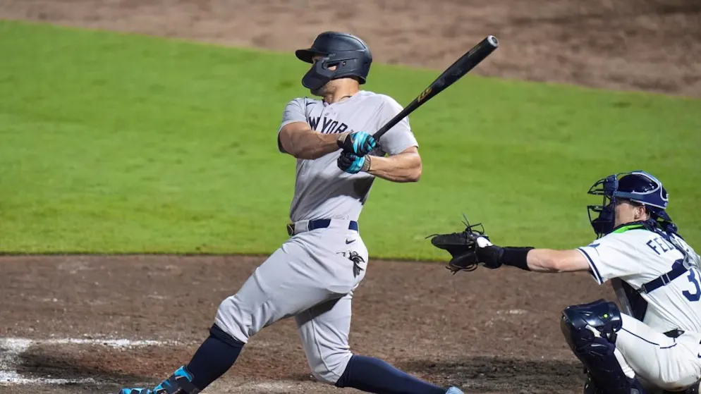 Baseball. After a ten-year break, the Barracudas are champions again