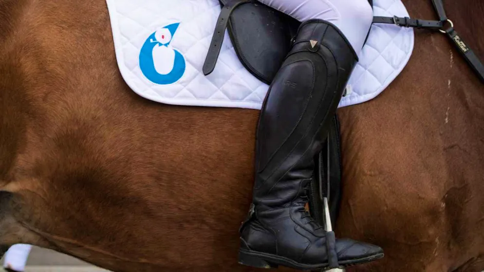 Today it is normal for people to ride horses - but it took thousands of years of breeding to make this possible. (archive picture)