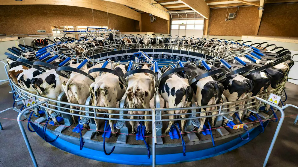 A dairy farmer's milking carousel in Rueyres-Treyfayes FR: The milk industry organization estimates that around half of US exports are at risk. (archive picture)