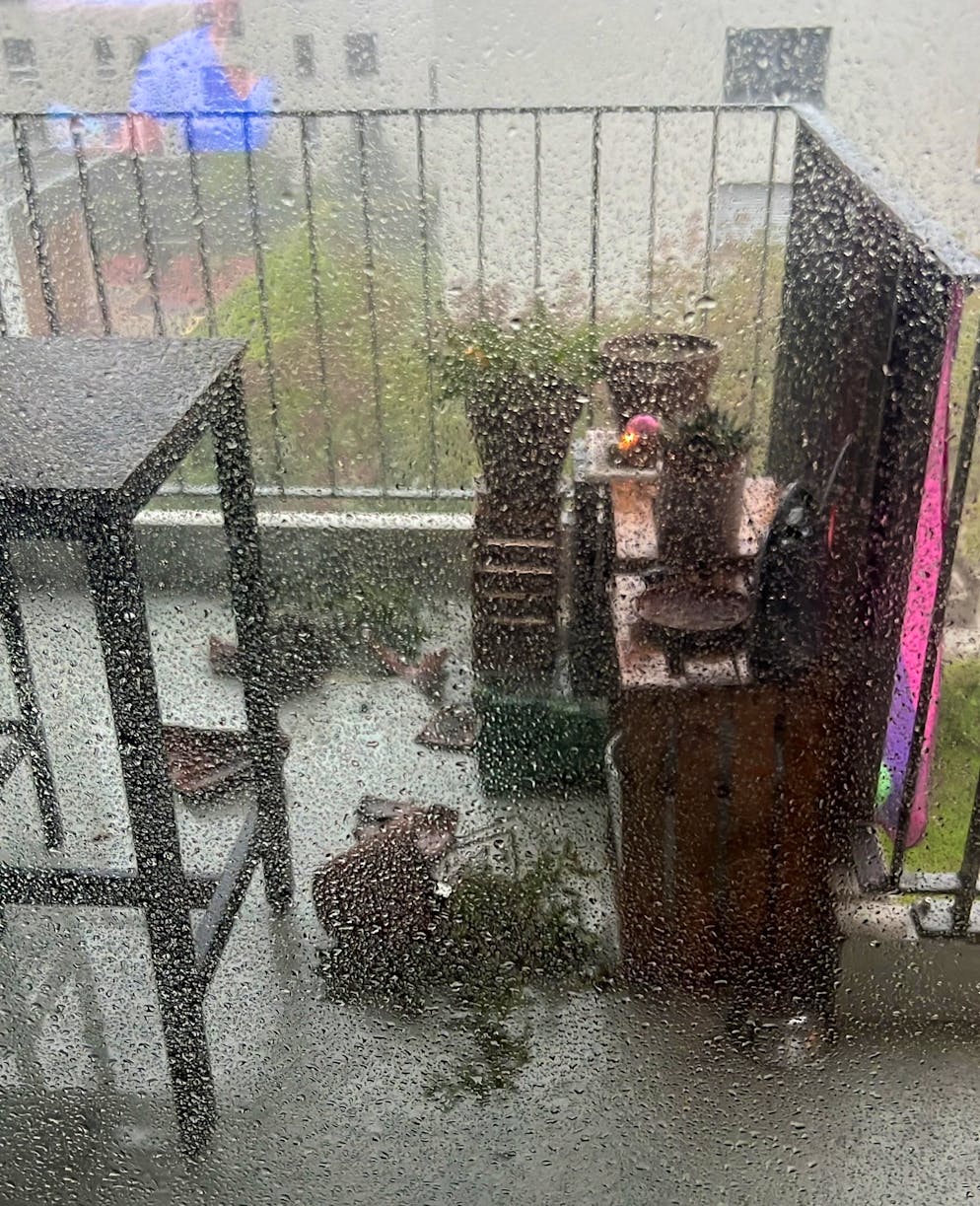 Windböen werfen Blumentöpfe um.