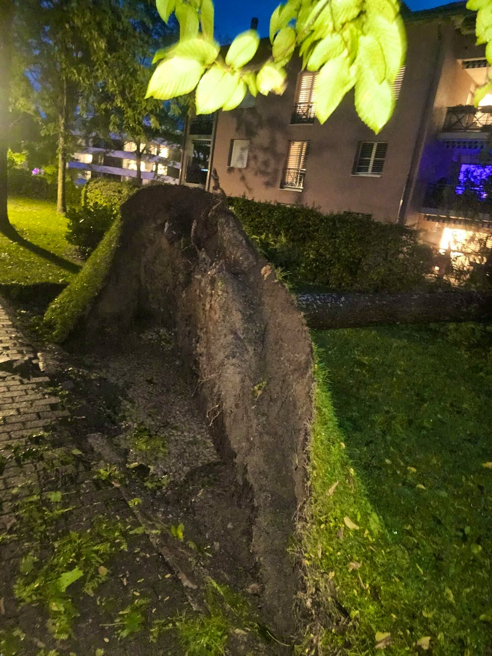 Traces of a tree uprooting in Cham ZG.