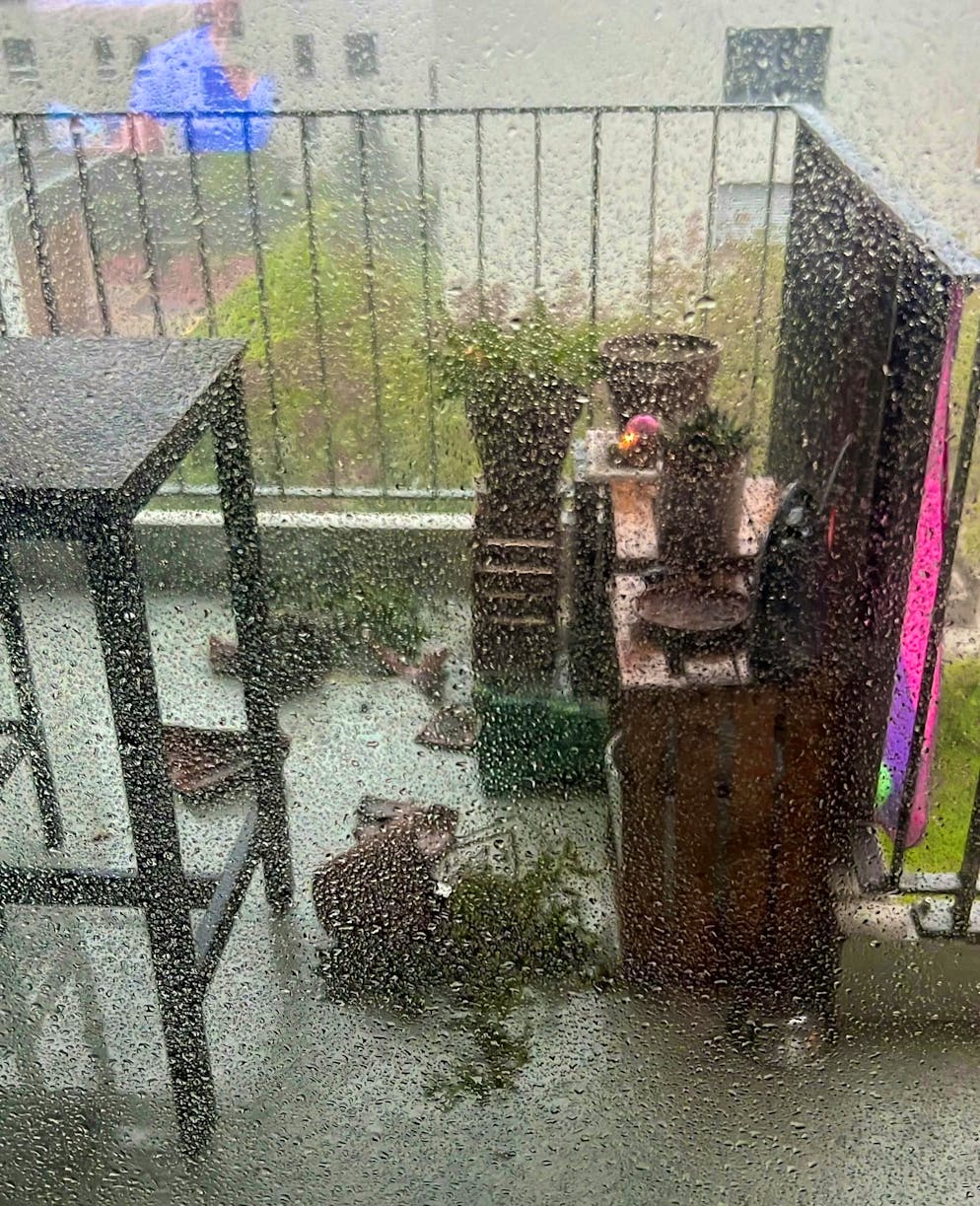 Gusts of wind knock over flower pots.