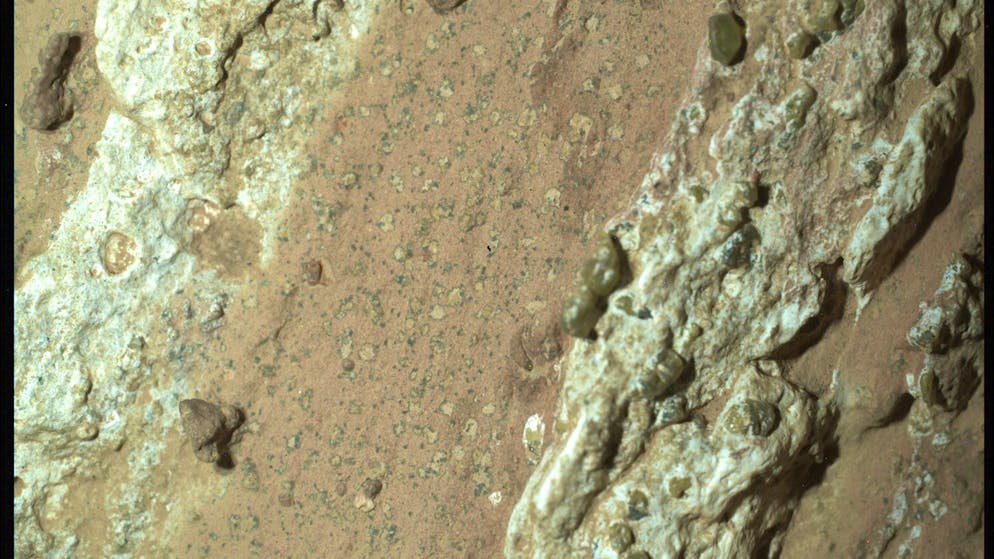 Stein aus dem Jezero Crater. Probe vom Mars könnte Zeichen von früherem Leben zeigen