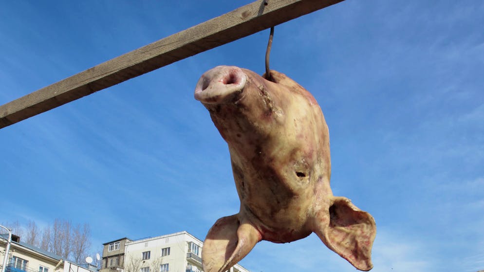 «Provoquer le trouble». France : des Mains rouges aux têtes de cochon, le spectre de l'ingérence étrangère