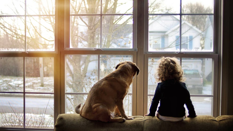 Actu et dicton du jour. «Froid à la Saint-Joseph, annonce pour bientôt...»