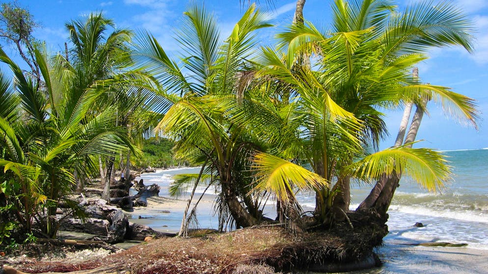Einbrüche und Überfälle. Kriminelle Banden bedrohen Auswanderer im Seniorenparadies