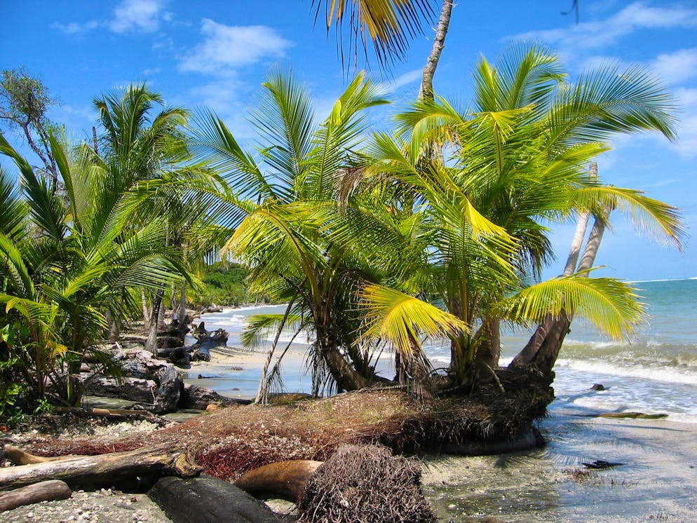 Costa Rica zählt immernoch zu den beliebtesten Auswanderungszielen. Doch nun schlägt die Regierung Alarm.