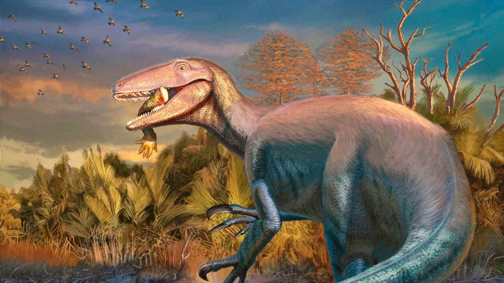 66 milioni di anni fa. Ritrovati in Patagonia i resti di un dinosauro con una zampa di coccodrillo tra i denti