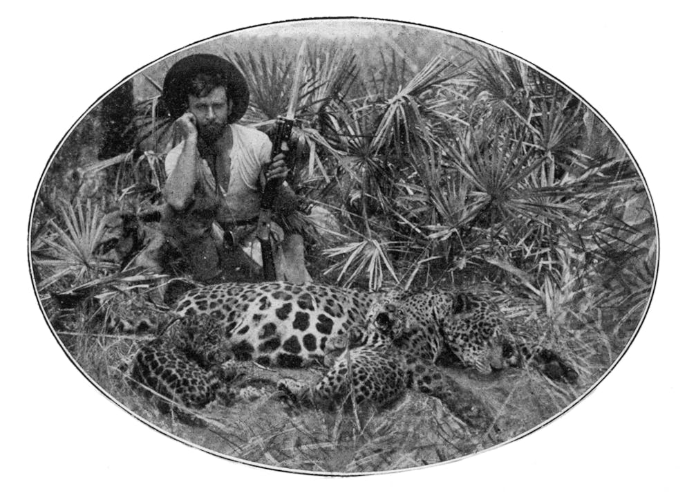 1924 bricht Percy Fawcett mit seinem Sohn Jack und dessen Freund Raleigh Rimmel ins brasilianische Mato Grosso im südwestlichen Amazonasgebiet auf, um die Stadt «Z» zu finden – die drei Männer gelten seitdem als verschollen.