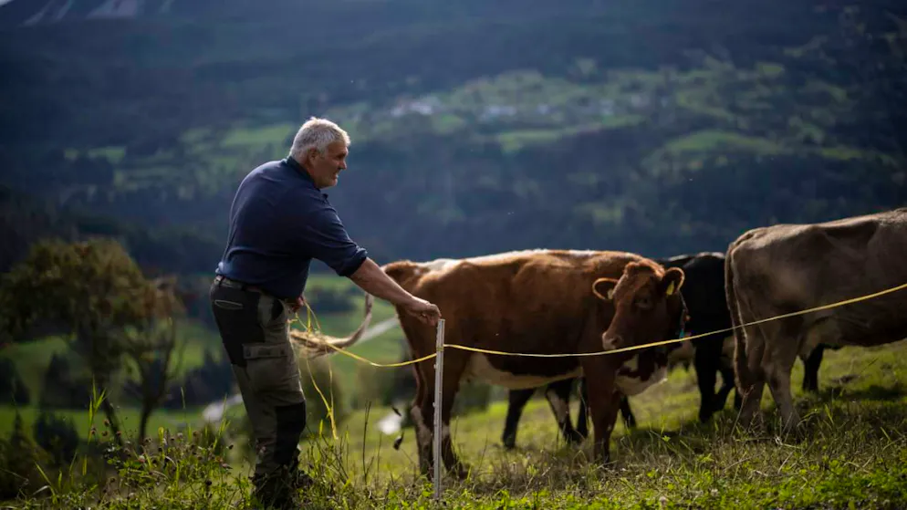 Andare o restare? Il dilemma degli abitanti di Brienz - Gallery. L'agricoltore Georgin Bonifazi non vuole abbandonare il suo villaggio. Secondo lui non è possibile trovare un posto migliore di Brienz/Brinzauls.