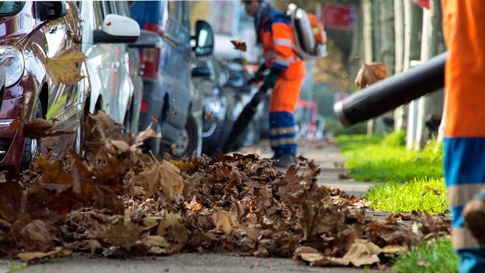 Weltpresse berichtet über Abstimmung. «Gut gemacht, Zürich»: Laubbläser-Verbot schafft es bis nach China und Australien