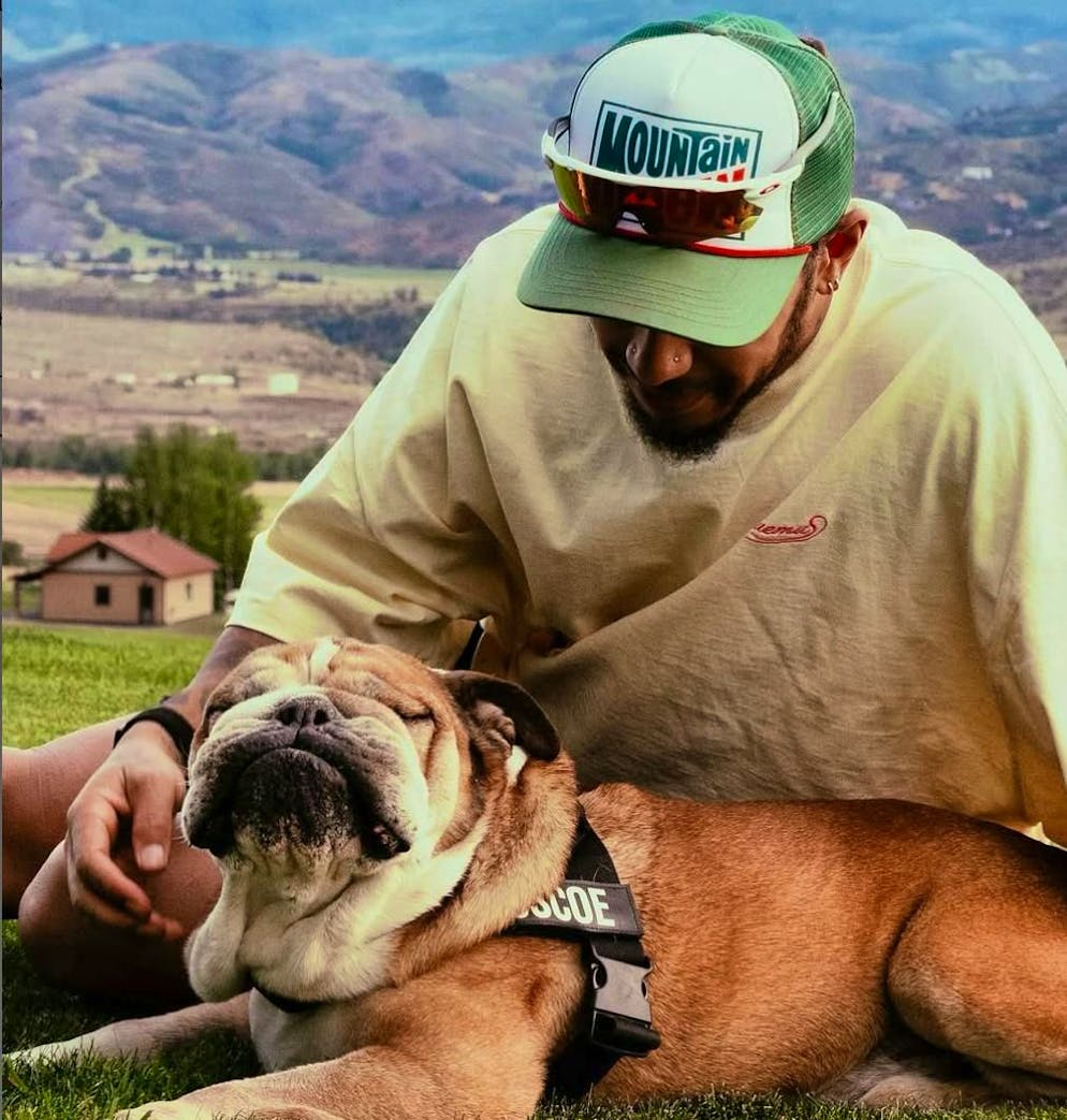 Roscoe the dog is dead: Lewis Hamilton mourns: Bulldog Roscoe has died | blue News