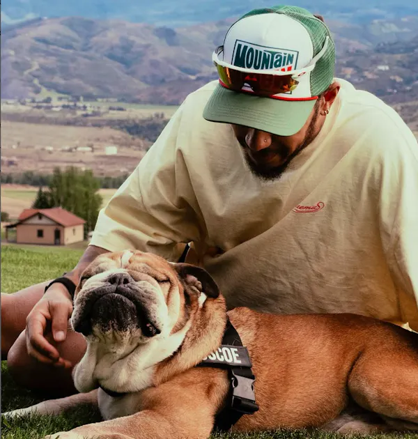Hund Roscoe ist tot: Lewis Hamilton trauert: Bulldogge Roscoe ist ...