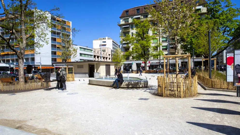 Le Conseil municipal de la Ville de Genève a approuvé une enveloppe de 3,3 millions de francs destinée à indemniser les commerçants impactés par le gros chantier visant à végétaliser la rue de Carouge, entre le rond-point de Plainpalais et la place des Augustins (illustration).