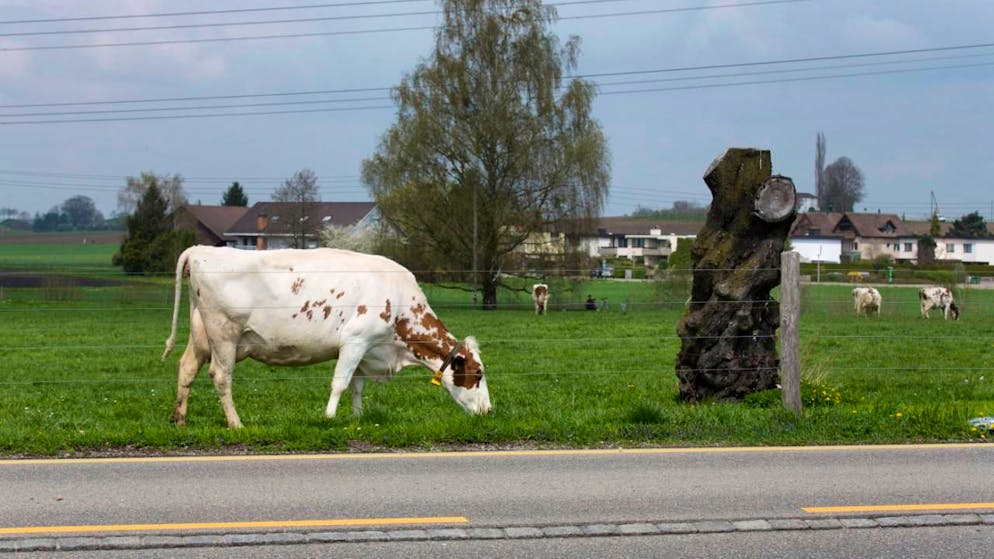 Agglo communities particularly attractive. Switzerland could create living space for two million people