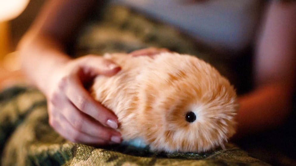 Roboter mit Herz. Verdrängt dieser KI-Fellknäuel bald unsere Haustiere?