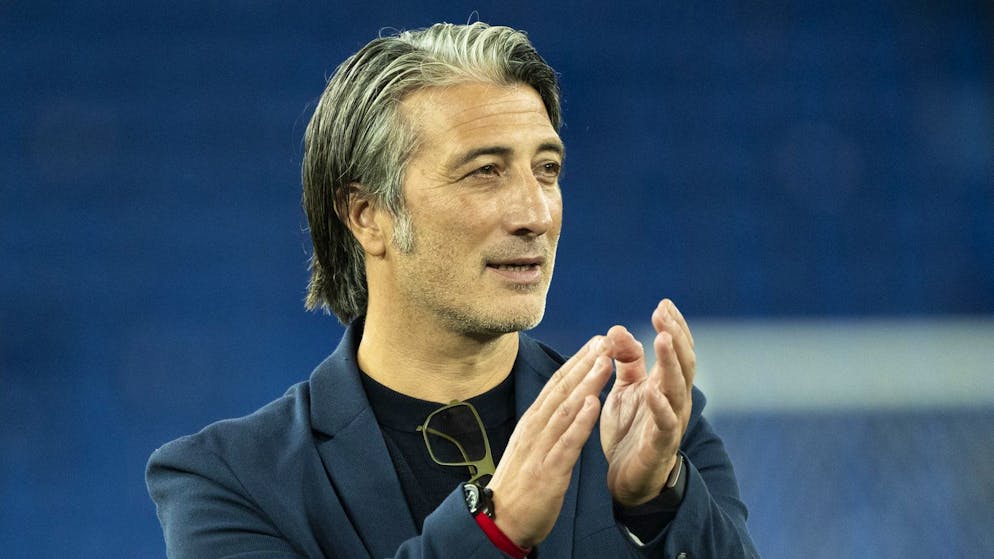 Germany and Norway. Top-class test match opponents for the national team ahead of their World Cup adventure