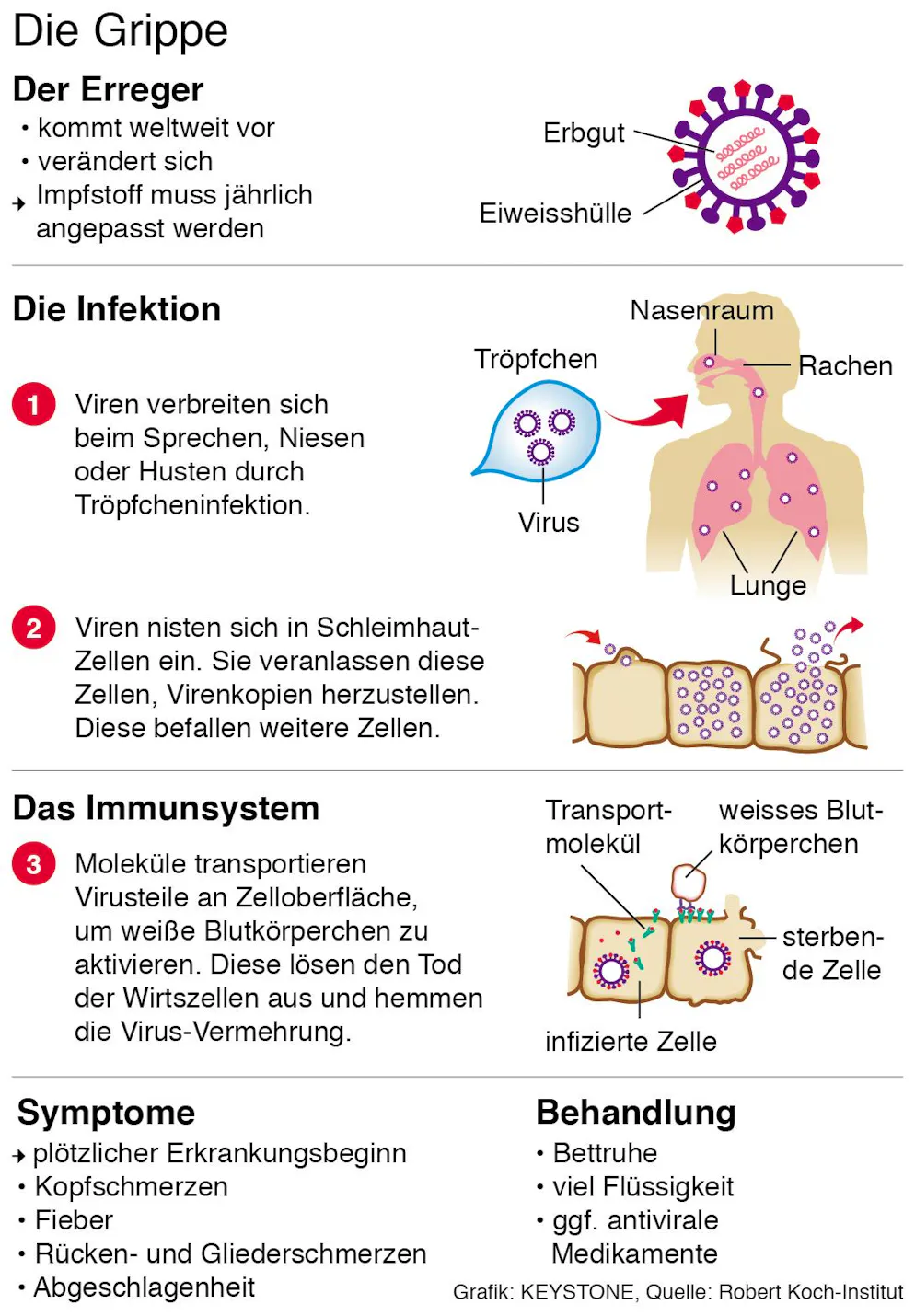 So kommts zur Grippe.