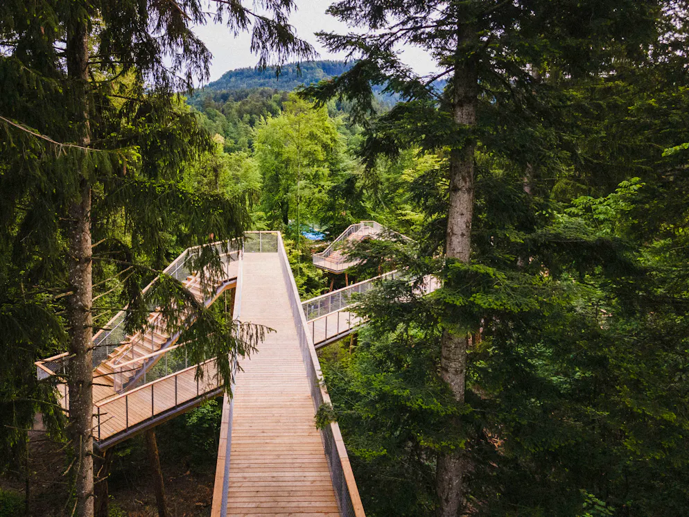 Zoug. Le pont en boucle est à la fois une excursion nature et un entraînement d'endurance.Au coucher du soleil, le lac de Zoug est particulièrement idyllique.